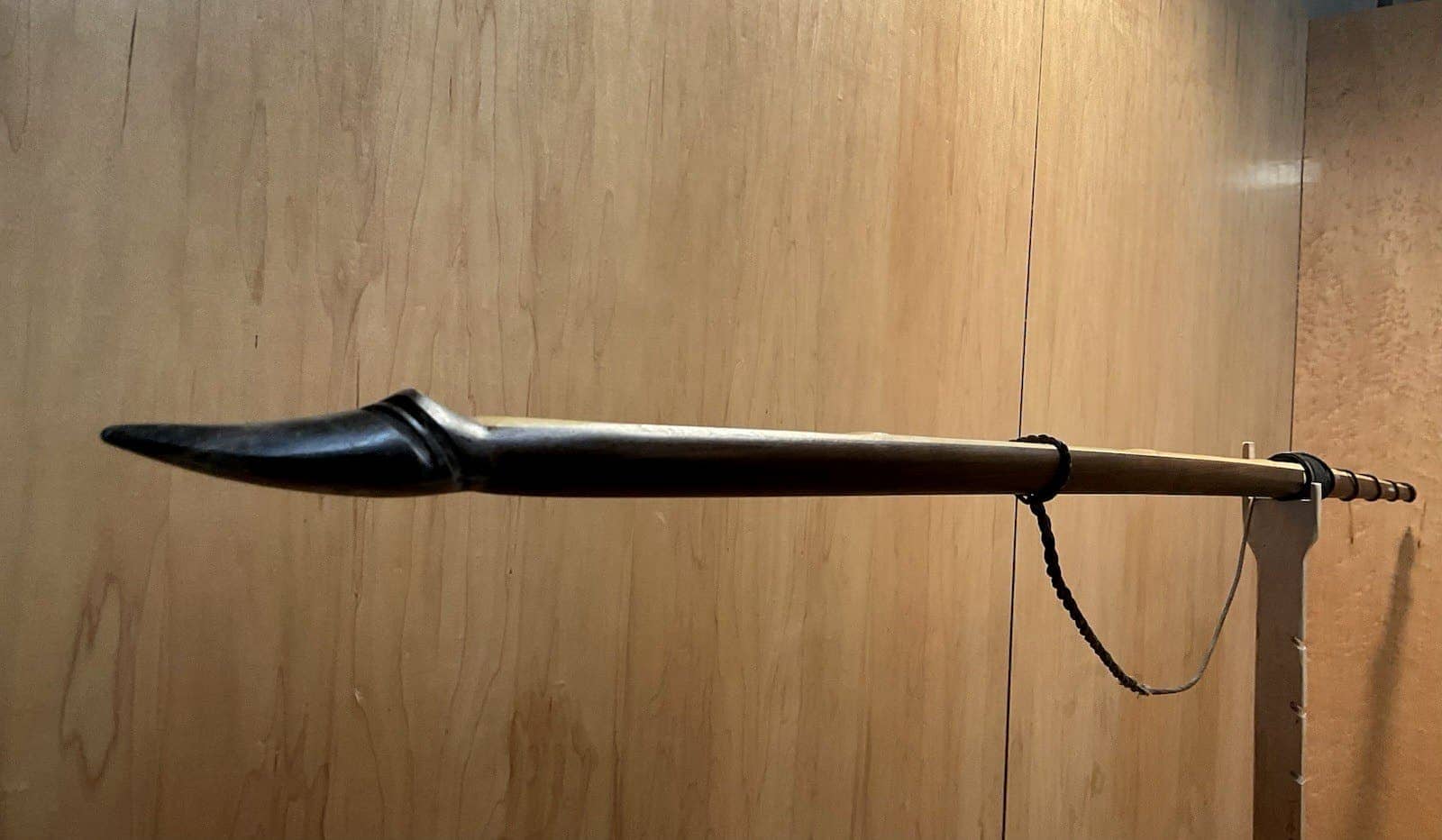 A buffalo horn tip of the 150-pound bamboo-backed ipe warbow, unstrung, its string looped below