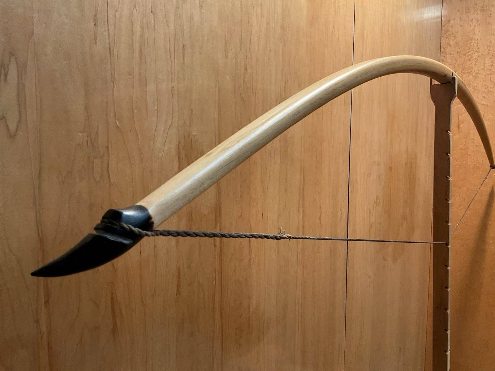 The upper limb and horn of the 190-pound white hickory selfbow warbow, drawn on the tiller