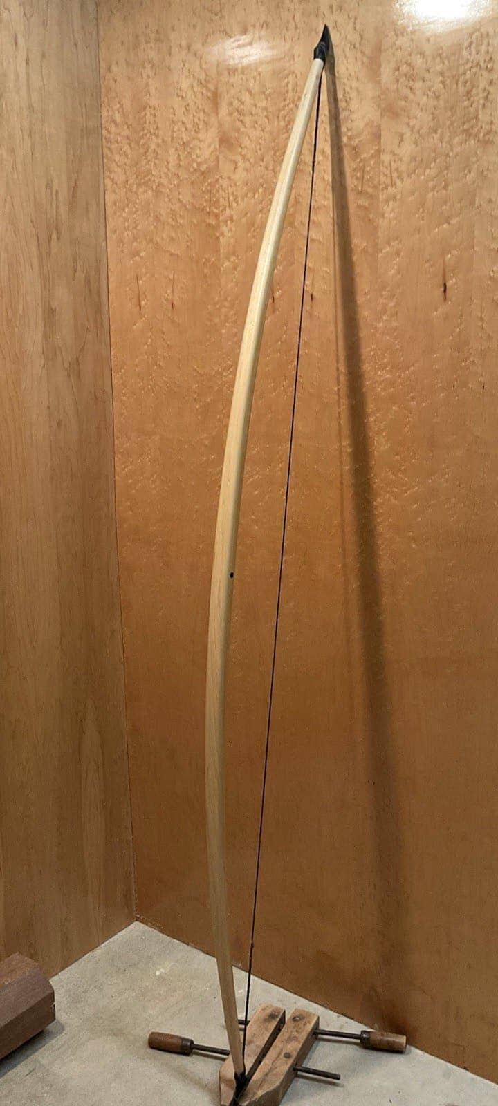 The 190-pound white hickory selfbow warbow, strung and standing full length against the maple wall