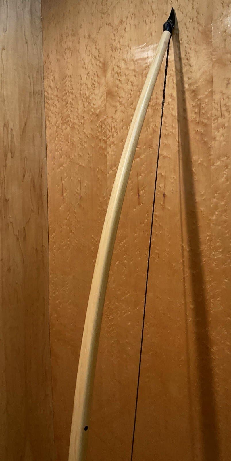 The 190-pound white hickory selfbow warbow, standing, its pale hickory limbs in view